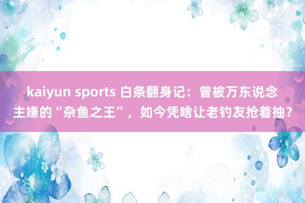 kaiyun sports 白条翻身记：曾被万东说念主嫌的“杂鱼之王”，如今凭啥让老钓友抢着抽？