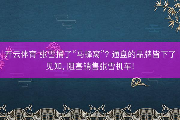 开云体育 张雪捅了“马蜂窝”? 通盘的品牌皆下了见知， 阻塞销售张雪机车!