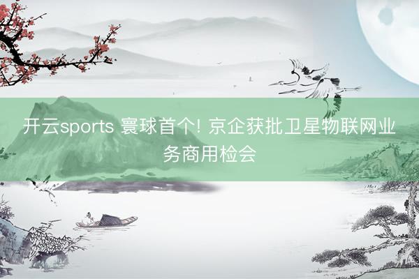 开云sports 寰球首个! 京企获批卫星物联网业务商用检会