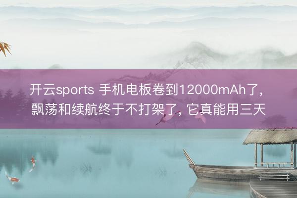 开云sports 手机电板卷到12000mAh了， 飘荡和续航终于不打架了， 它真能用三天